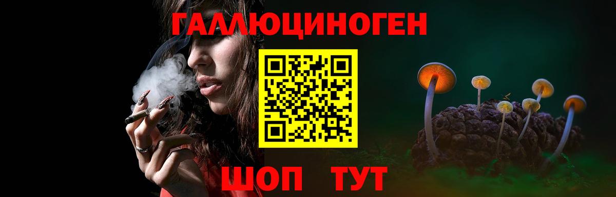 продажа наркотиков  Галлюциногенные грибы Cubensis  Вход с VPN  Севастополь 